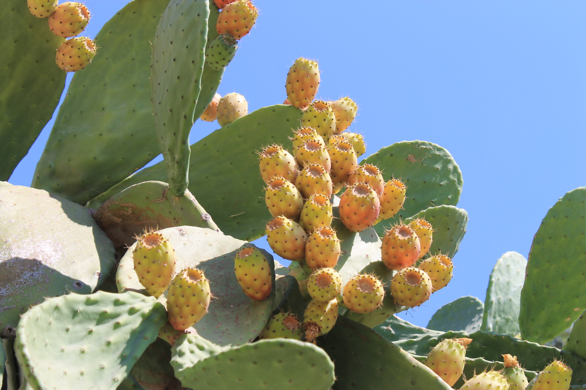 1267476 509839625760763 1499049156 O