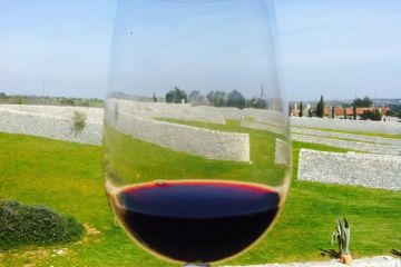 1025663074178413 4208320017362426791 n