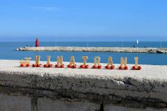Vin-a-Trani-